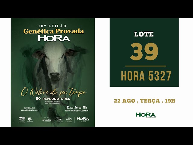 LOTE 39: HORA 5327 - GUERREIRO DA HORA x PROVADOR