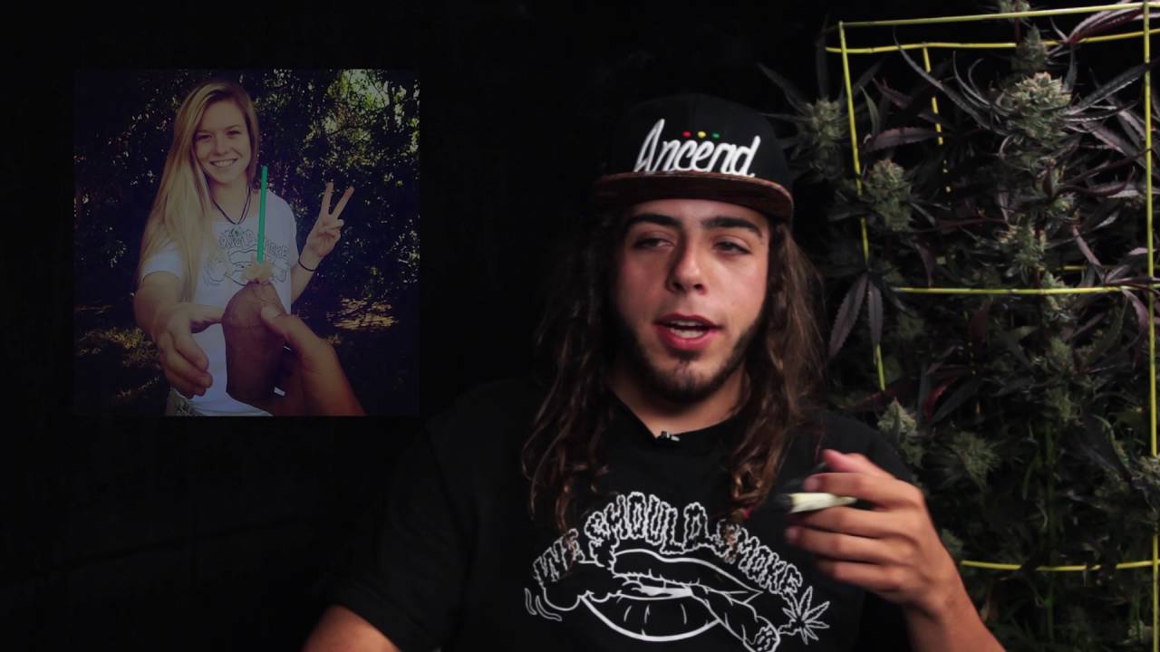 Between Two Strains - We Should Smoke - Season 1