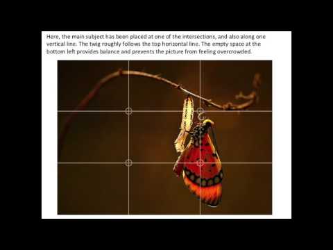 Photography Composition Basics