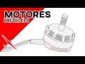 Motores brushless o sin escobillas | RC para principiantes