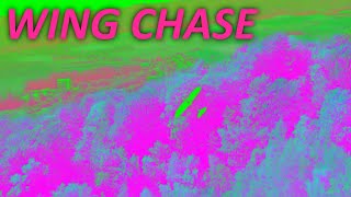 Psychedelic FPV Wing Chase