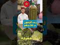 زيت الزيتون غيولي ب 50 درهم زيتون زيت المغرب ثمن 