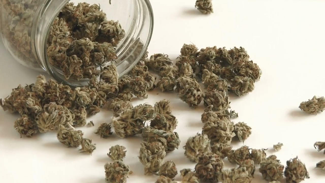 Medical Cannabis Treatment Near Me