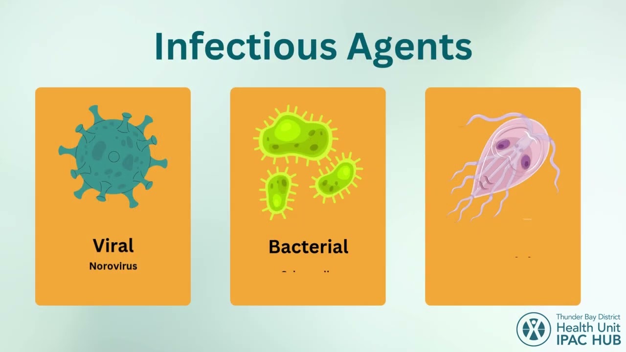 Long-Term Care Home, Retirement Home or Acute Care Outbreak Module Part 2