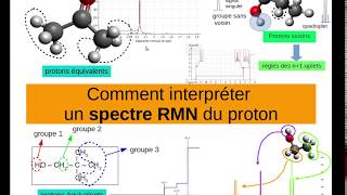 How to interpret a proton NMR spectrum