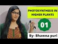 CLASS-11TH||CH-13||L-01||TERM-2||BIOLOGY||BHAWNA PURI