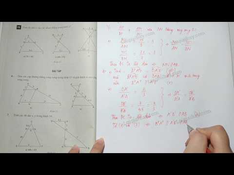 Video Giải bài 6 trang 62 SGK Toán 8 tập 2 - youtube