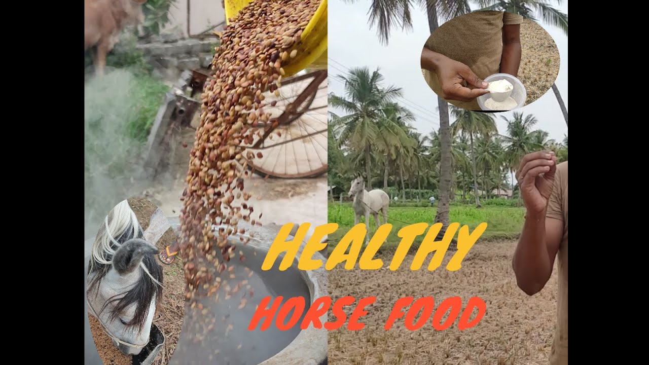 Horse feeding...god Clinton horsemanship