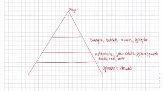 Coyote Intro Part 1 Food Web Coyote