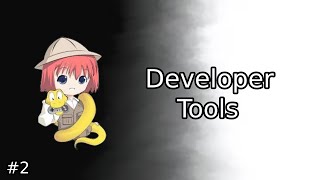Famous Developer Tools | (Ren'Py For Beginners) - #2 Net Worth