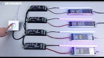 how SKYDANCE RGBW wall mounted master touch panel work with the DMX decoder?