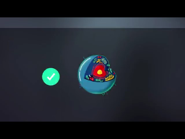 EVRİMİ %100 ÇÜRÜTEN O VİDEO