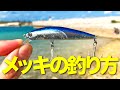 アホでも釣れるメッキの釣り方…【初心者】