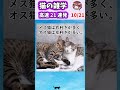 猫の雑学高速21連発!【Part1】#shorts