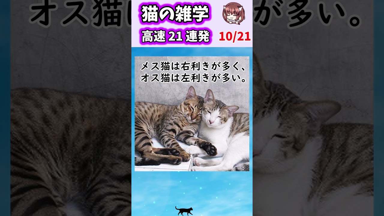 猫の雑学高速21連発!【Part1】#shorts