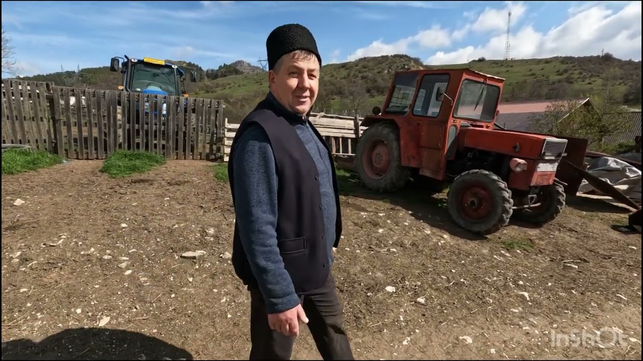 FERMĂ DE VACI ȘI OI BREZE A BACIULUI MARIAN PIETRAREANU DIN LOC PIATRA.ARGES