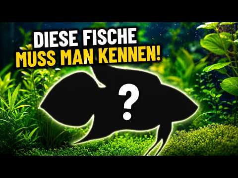 You NEED to know these FISH!
