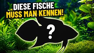 Diese FISCHE muss man kennen!
