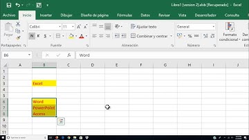 ❄️ EXCEL BÁSICO / Atajos y trucos para copiar formato