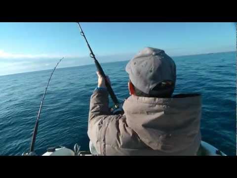 [HD] Traina al dentice: un dentice maltrattato[02/2012]