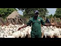 Know how to succeed and feature plan of goat farming