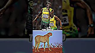 Cheetah vs Usain Bolt | battle | Doovi