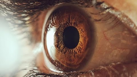 Everyday Objects in Macro in 8K ULTRA HD VIDEO
