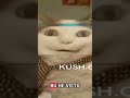 pov: y este gato todo raro?🧐🤔