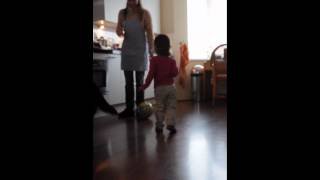 Download Lagu Cinta - feeding the dogs MP3 Download Lagu Cinta - feeding the dogs MP3