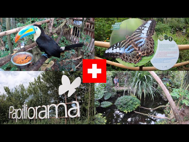Papiliorama - Swiss Butterfly Garden and more
