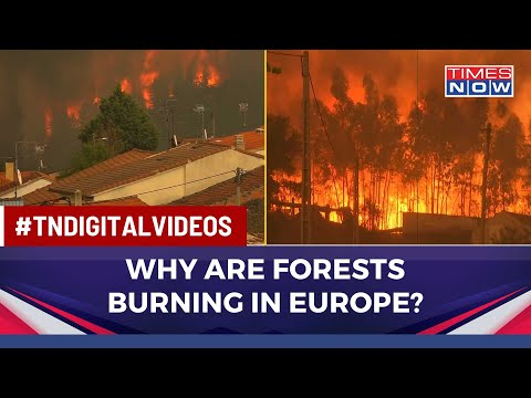 Why Are Wildfires Intensifying In Europe? Experts Explain In Exclusive Chat With Times Now