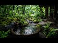 The Quiet Between Leaves | A Cinematic Meditation on Stillness