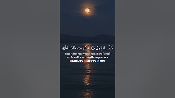 ماهر المعيقلي - سورة البقرة ( برواية حفص عن عاصم ) الأية 34 - 37