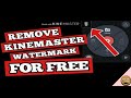 How to remove properly watermark in kinemasterin tamil  paalvadi tech