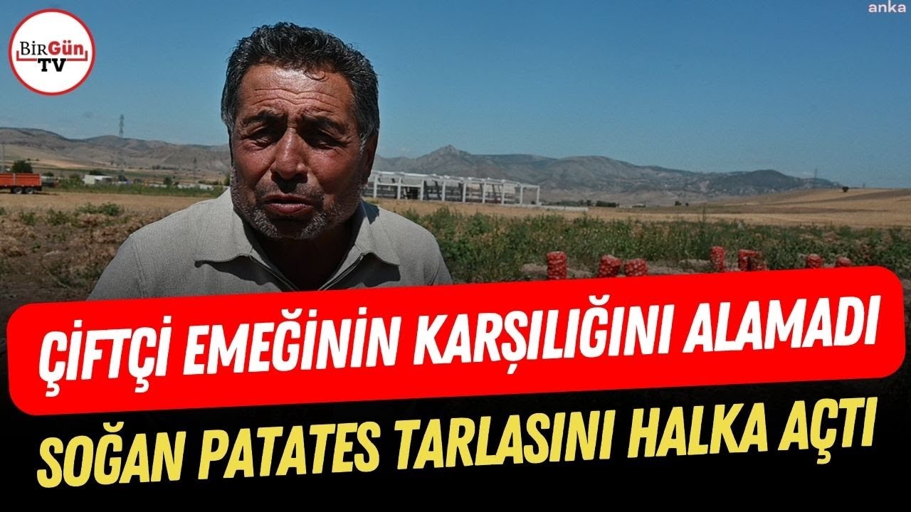 Çiftçi üretimi bırakıyor! Yozgat'ta soğan patates tarlada kalınca ücretsiz dağıttılar