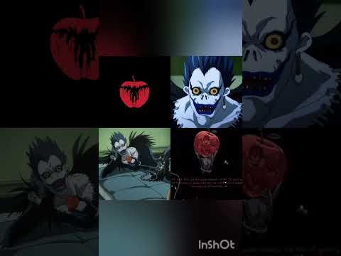 اتوقع ماي فكرة توكيتو لي  رينغوكو  غزة