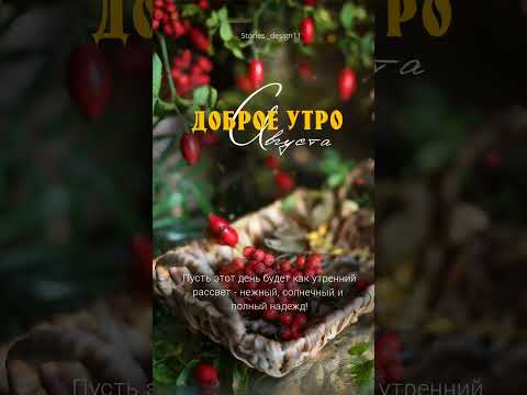 Доброе утро.#доброеутро#пожеланиядоброгоутра#открытки#лето#рябина #music#цитаты#мотивация