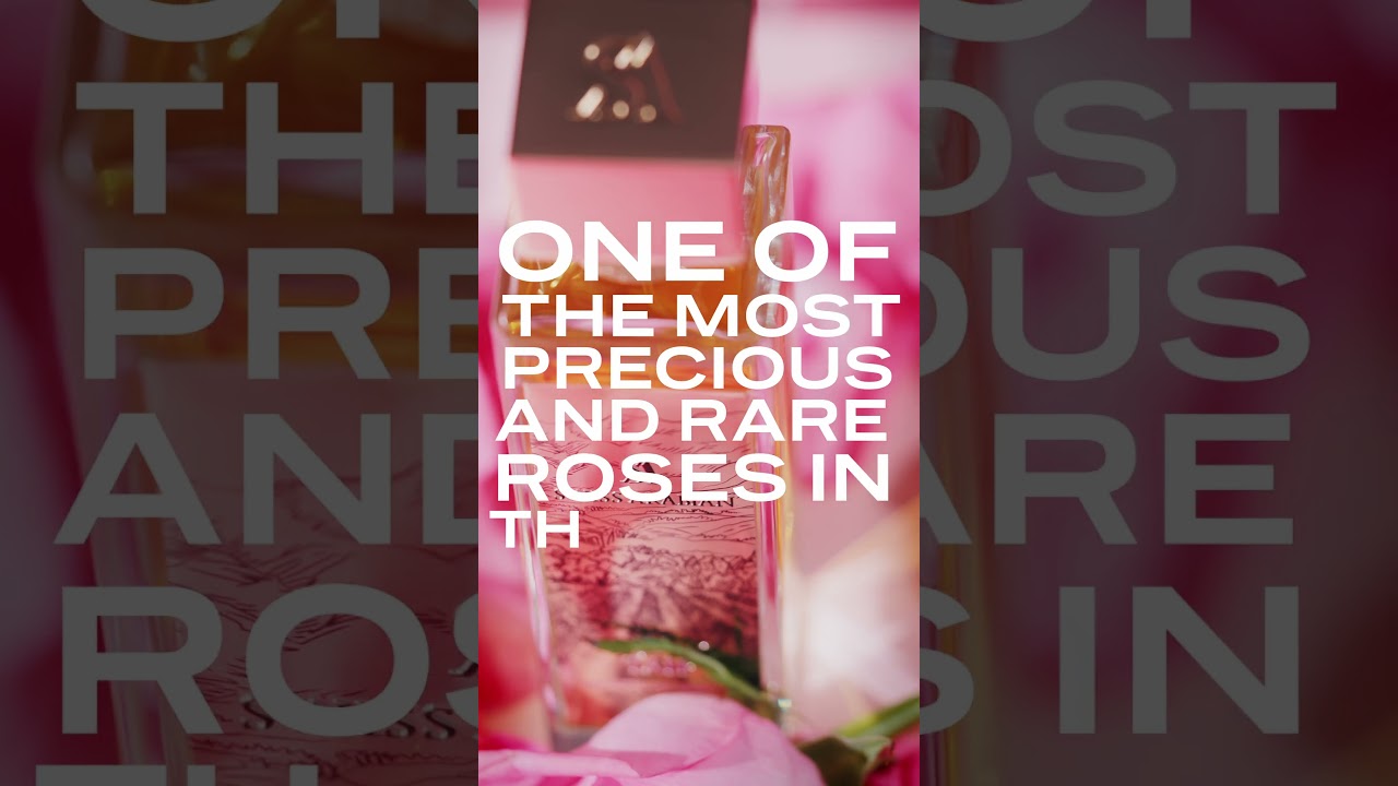 Swiss Arabian - New Cities Collection Edition