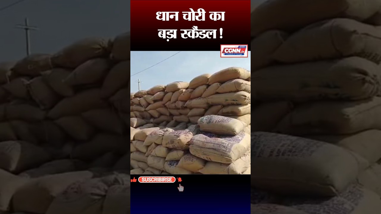 धान चोरी का बड़ा स्कैंडल | 