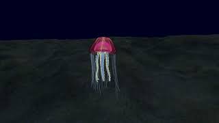 Jellyfish - Animated