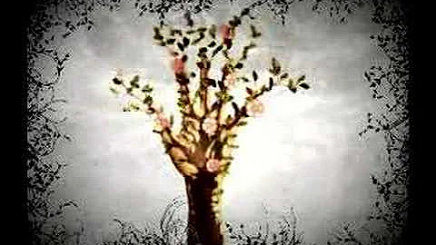 Au4 - Live Visuals: Tree