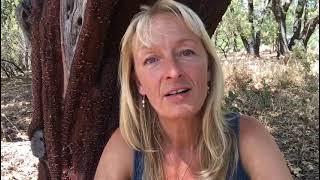 The Shift Music Festival & Visionaries Summit ~ trees are the ultimate carbon capture technology!