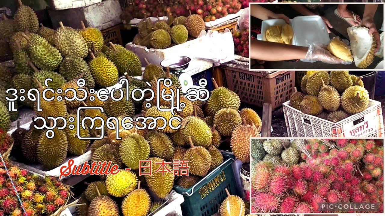 ဒူးရင်းသီးတွေပေါတဲ့မြို့ကို သွားကြမယ် ( Visit to Mawlamyine Part - 1 )Japanese subtitle