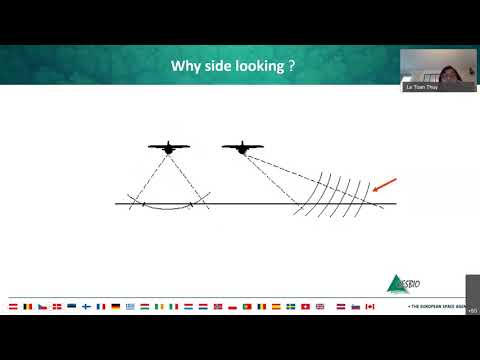 SAR Basics - Dr. Thuy Le Toan (theory)