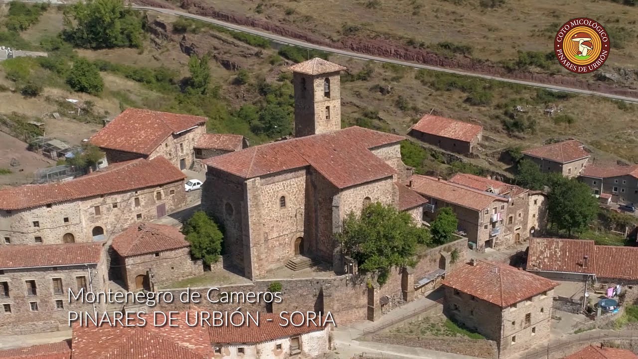 Montenegro de Cameros (El Municipio) Pinares de Urbión - Soria
