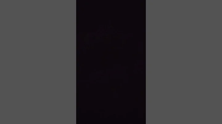 3 December 2022