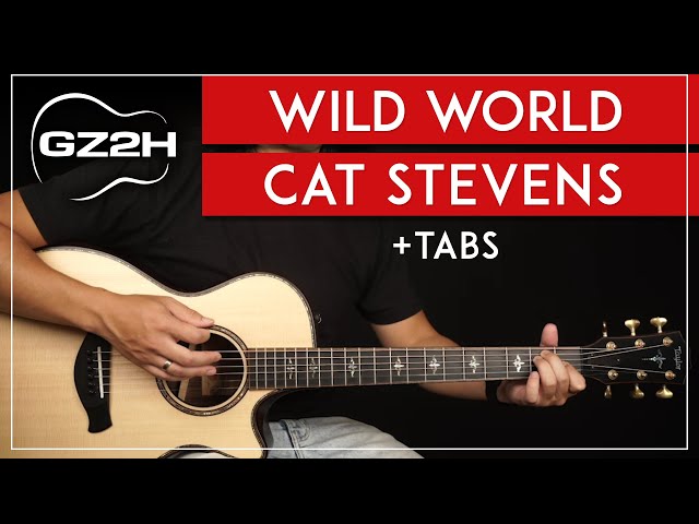 Wild World Guitar Tutorial Cat Stevens Yusef Guitar Lesson |Chords + TAB| class=