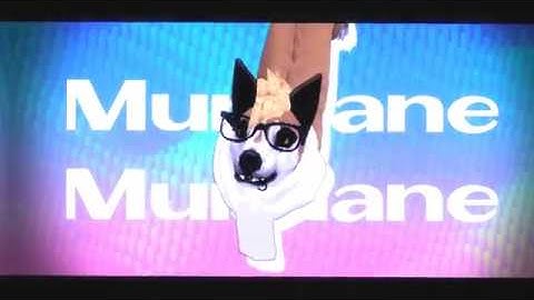 I N S T A G R A M | FH