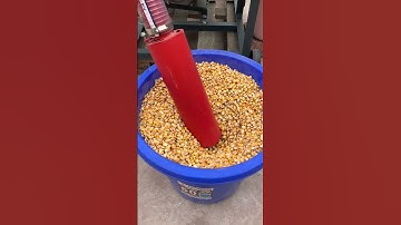 Upgraded  self-priming pulverizer.Capacity 400-500 kg /hour.#dawnagro #machinery #farmer #discmill