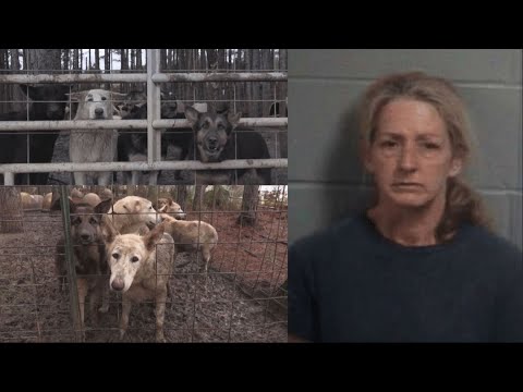 Woman arrested for animal abuse wants $3M for ‘emotional and financial distress’